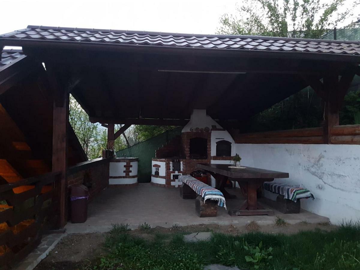 Pensiunea Rustic Borsa  Exterior photo